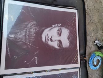 Bradford Salamon "Sinead O Connor"