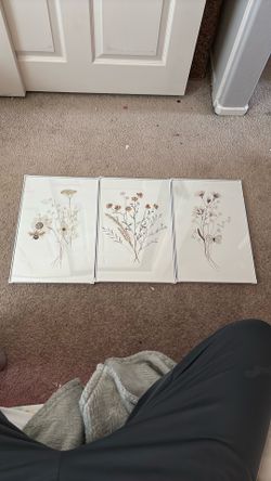 floral posters never used