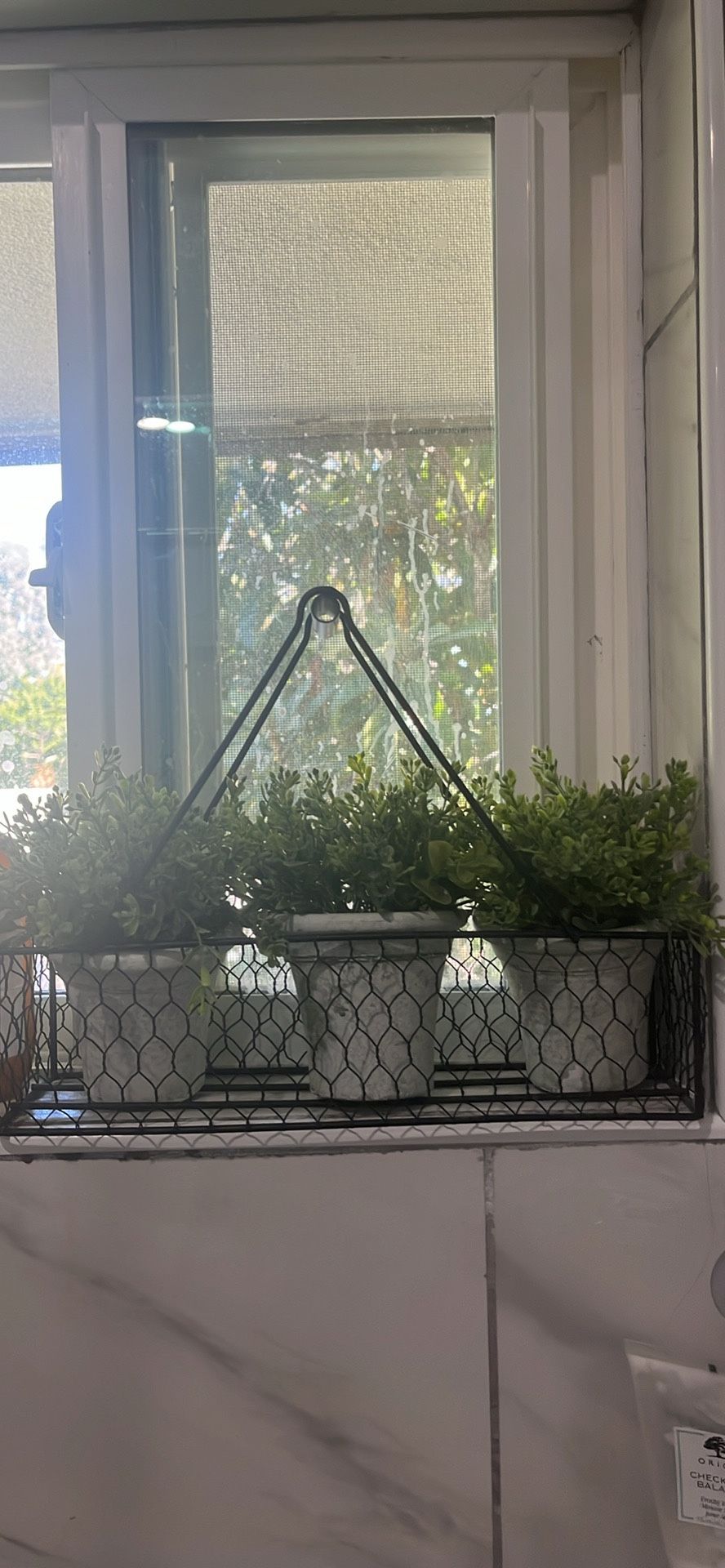 Fake Plants