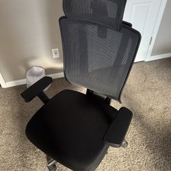 OdinLake Ergonomic Office Chair