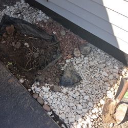 Rocks