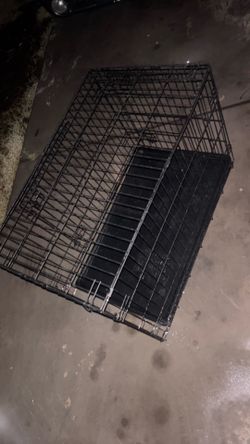 Big dog kennel
