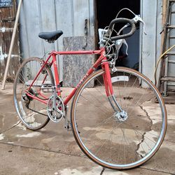Schwinn traveler