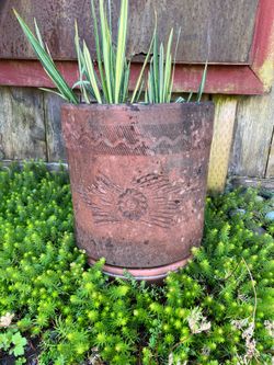 Large terra cotta pot
