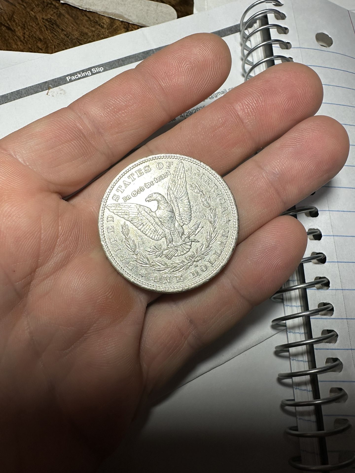 Morgan Silver Dollars