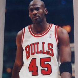 Chicago Bulls Michael Jordan Glossy Photograph