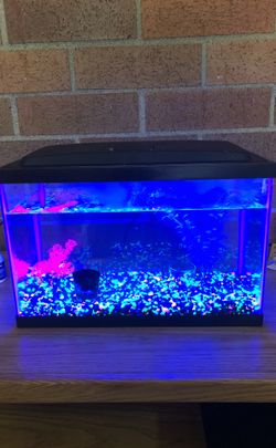 5.5 gallon fish tank