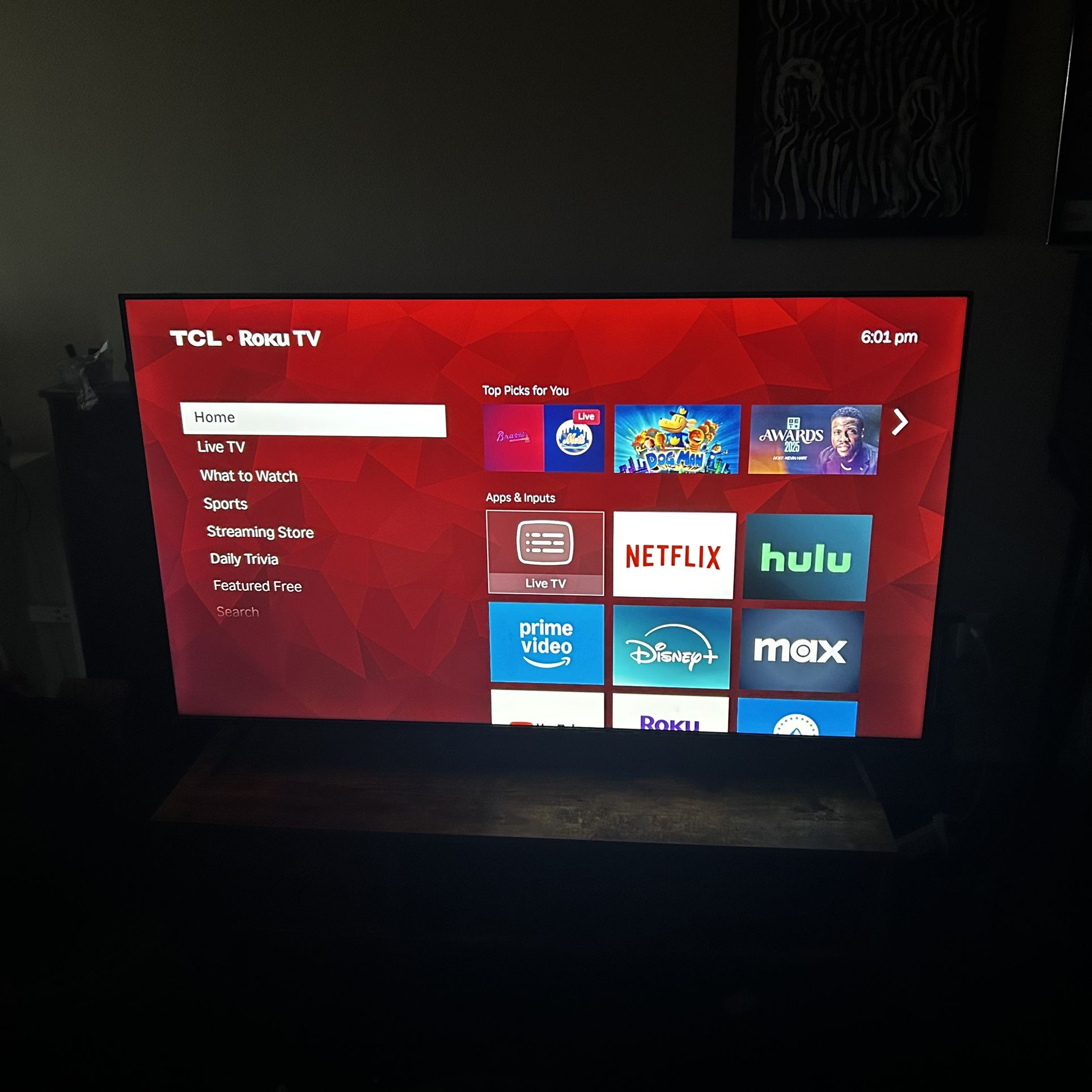 Roku TCL 55 Inch TV