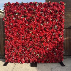 Red Rose Wall