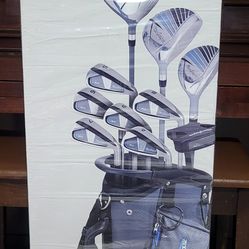 MacGregor Golf Men's MCG Golf Club Set