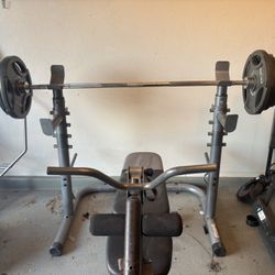 Squat rack Bench Weights And Hex Bar