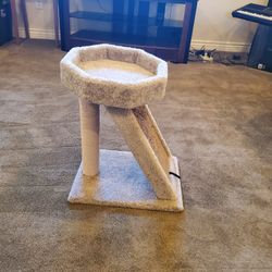 Cat Tree/Scratch Stand