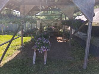 Hanging Flower Baskets