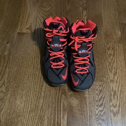Lebron 12 Court Vision