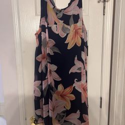 Woman’s Plus Size Dress 