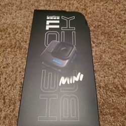 GoPro 