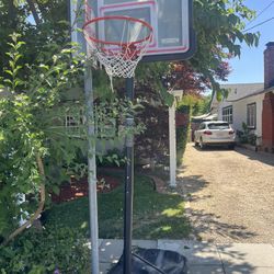 Feee Basketball Hoop 