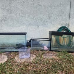 Fish/reptile Tanks& Racks