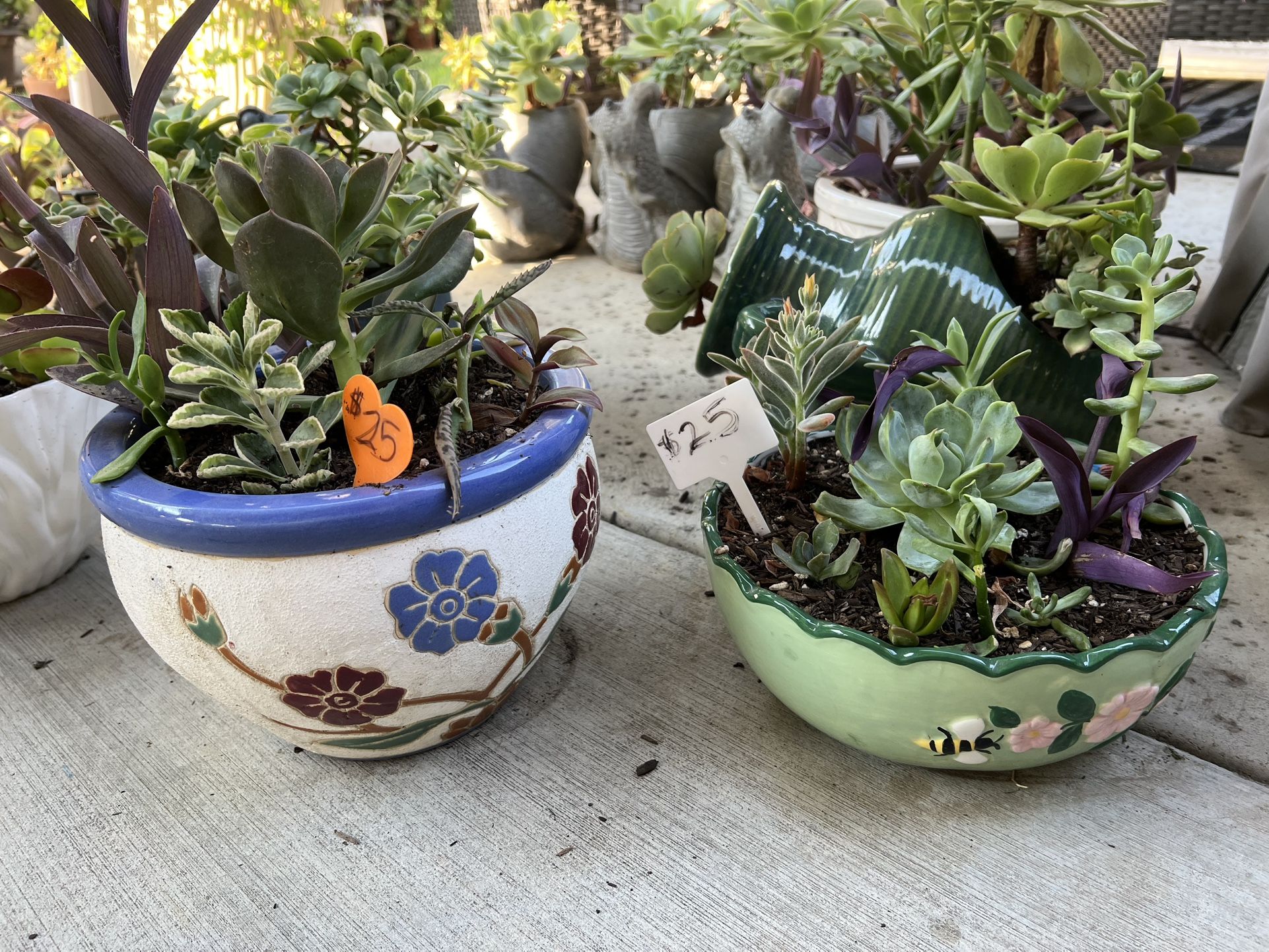 Many Beautiful Succulent Planters