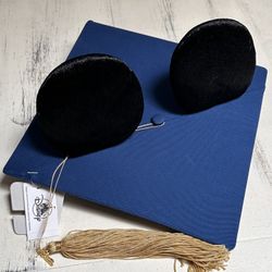 Disney Grad Cap