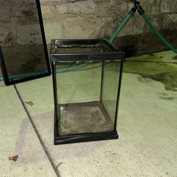 Arboreal Tank (No Lid)