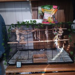 Bird Cage For Sale