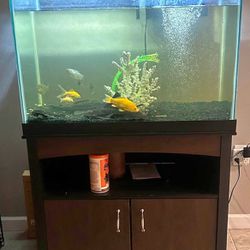 Have Just A 60 Gallon Fish Tank 