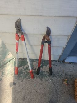 tijeras para apodar
