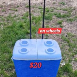 Cooler W Wheels 