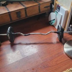 Curl Bar