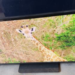 TV Vizio 47” LCD HDTV