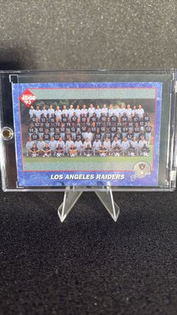 1993 Los Angeles, Raiders