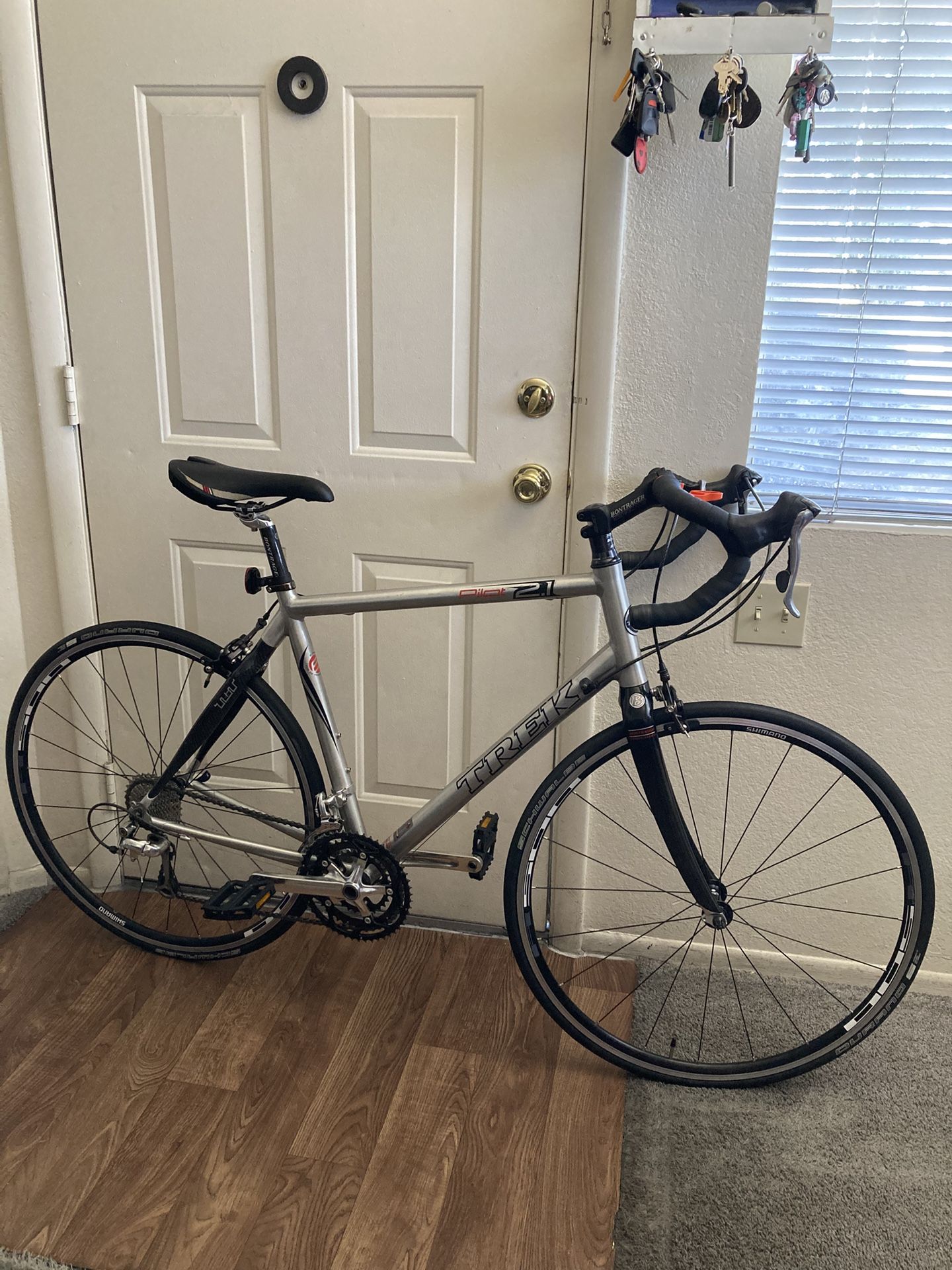 Trek 2.1 Pilot Bike