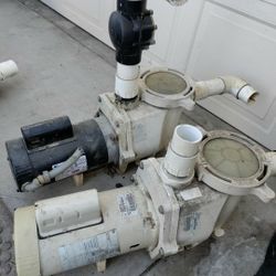 Pool Pump (Bomba Alberca) $ 120 Each 