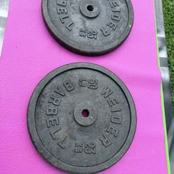 WEIDER WEIGHTS (Standard 1” Hole)