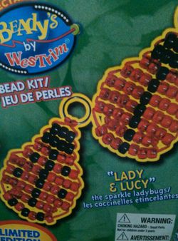 Ladybug bead kit new