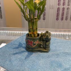 Bamboo 