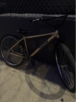 Throne 29er