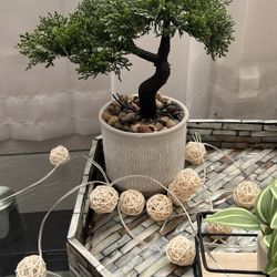 Artificial Bonsai Tree Juniper