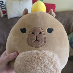 Capybara Squishmallow plush
