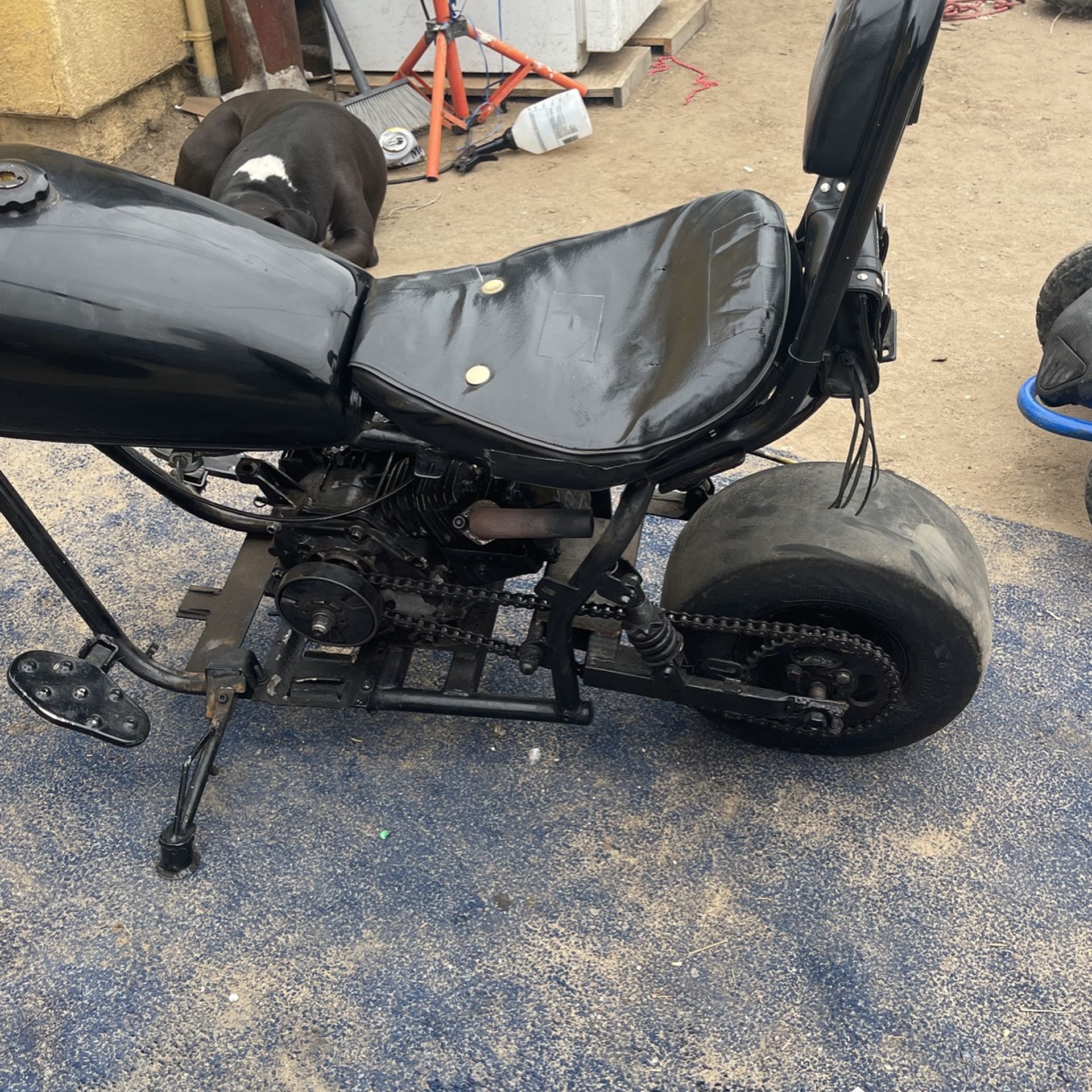 212cc mini chopper hotsell