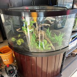 2 Fish Tank Combo with accessories 