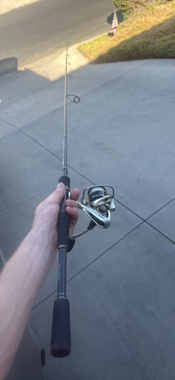 Spinning rod and reel