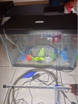 Pescera 75 litros aquarium setup completo 20 g