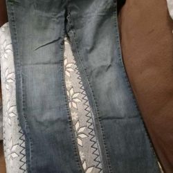 Ladies Arizona Jeans Bluejeans