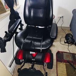 Mobile Wheelchair