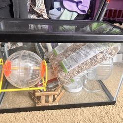 Hamster Supplies 