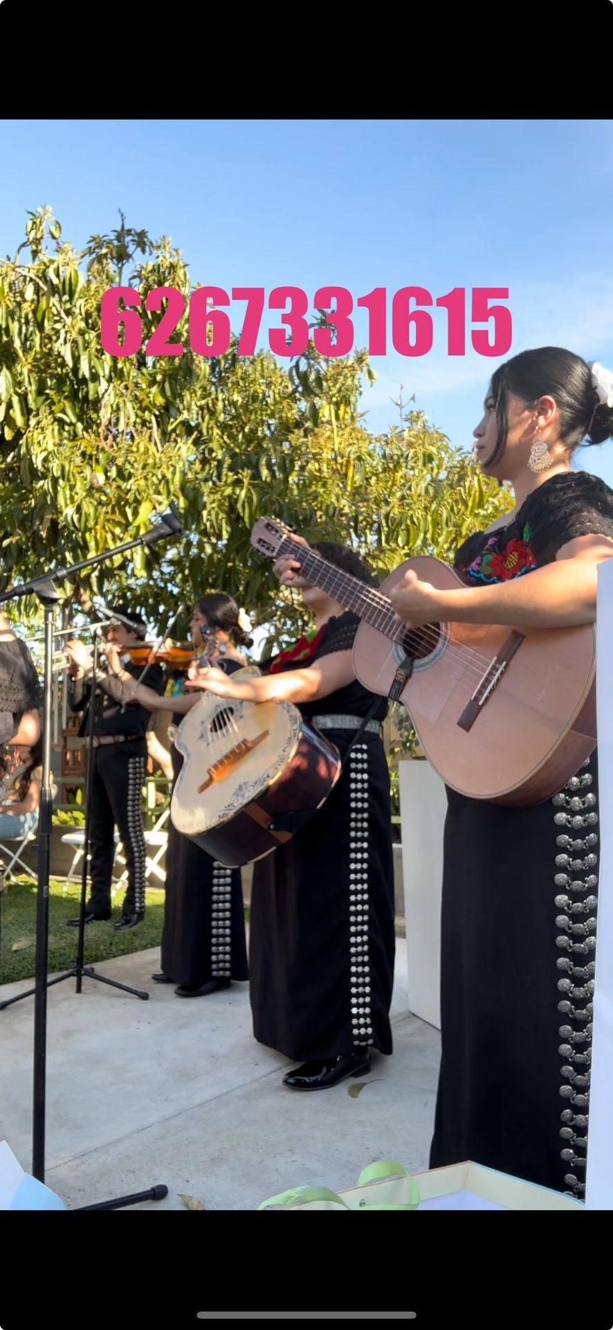 Mariachi Vihuela Trompeta Violin..