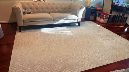Costco rug