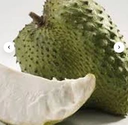 Grafted soursop/ Guanabana trees